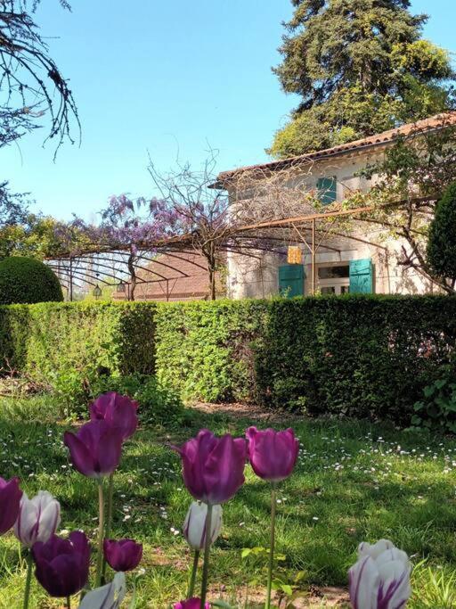 Charmant Studio Avec Jardin A La Campagne Sur Le Chemin De Saint Jacques De Compostelle Apartman Lauzerte Kültér fotó